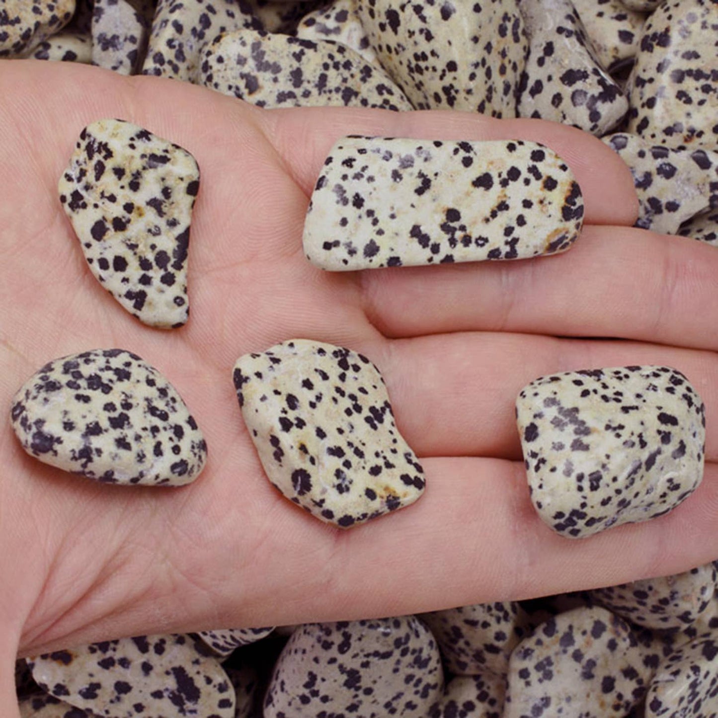 Tumbled Dalmatian Jasper - M - A Grade - Brazil