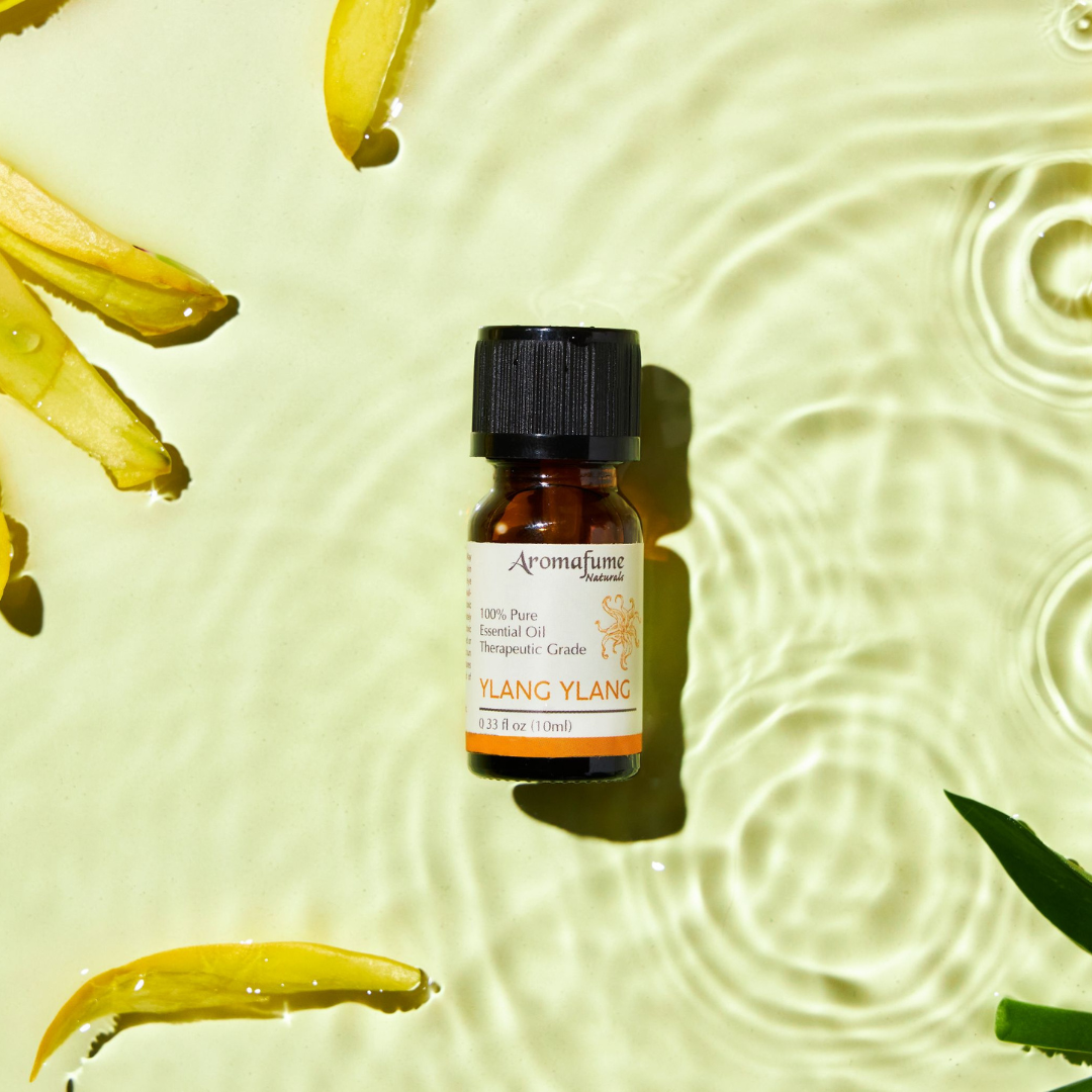 Ylang Ylang Essential Oil | 100% Pure Aromatherapy Oil