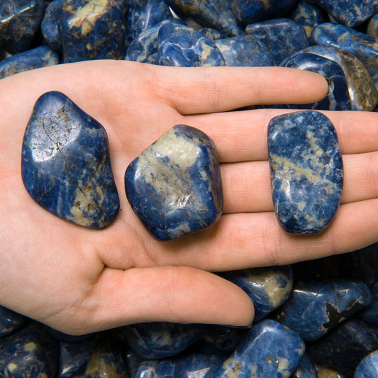 Tumbled Sodalite - L - B Grade - Brazil