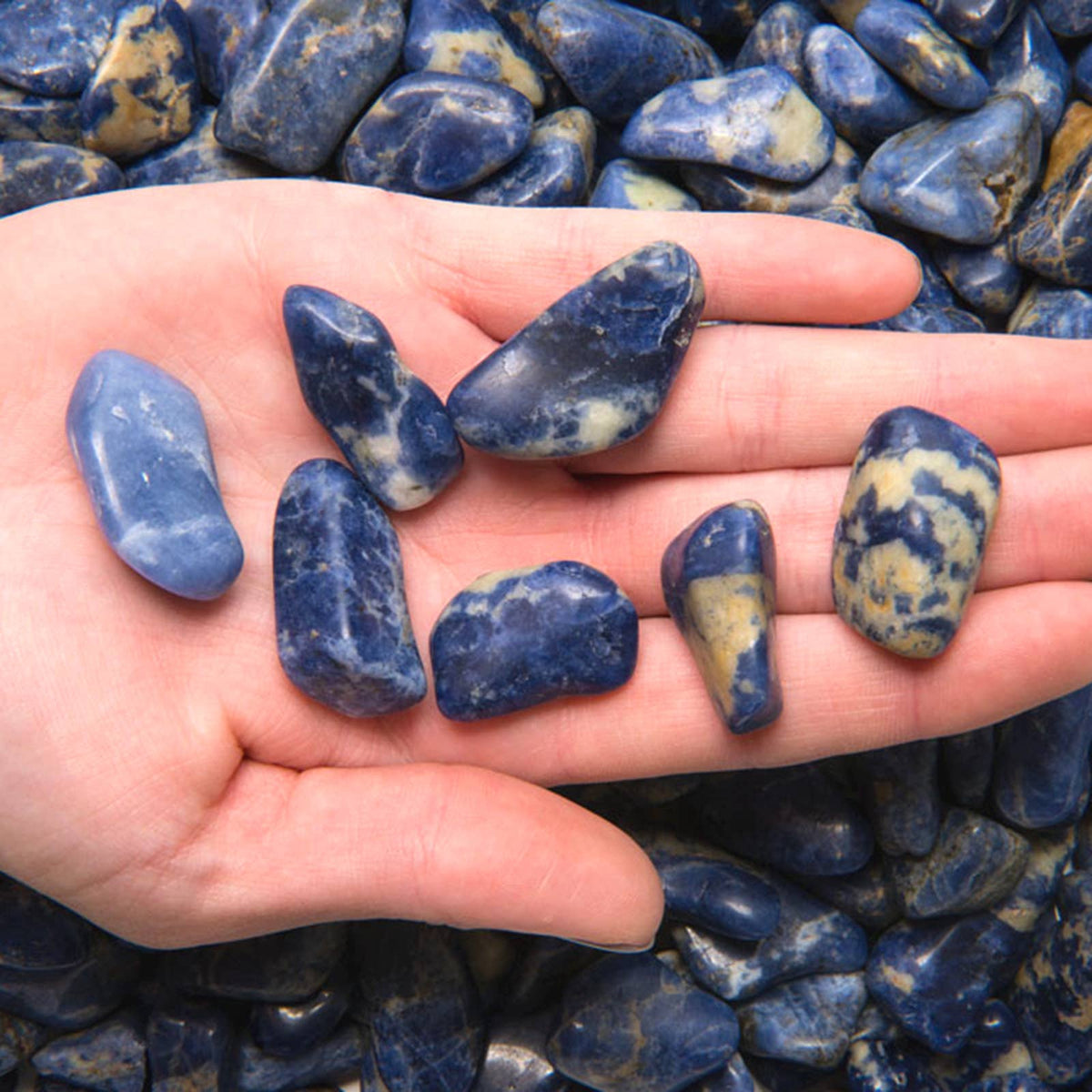 Tumbled Sodalite - S - B Grade - Brazil